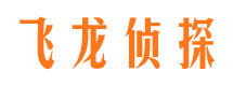 方正市侦探公司